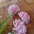 Flor artificial bolinhas rosa - comprar online