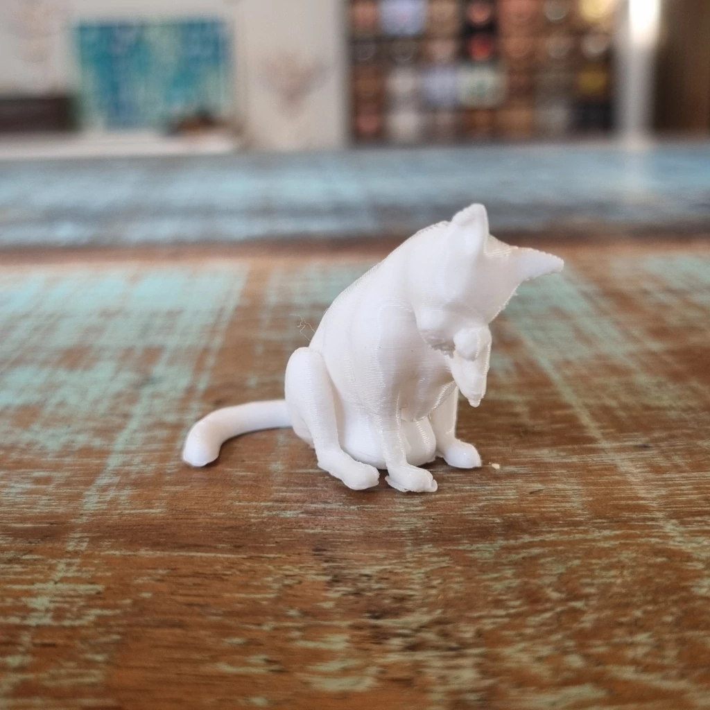Gatinho se lambendo