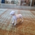 Cachorro em pé 3cm