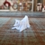 Cachorro Fantasma Miniatura