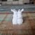 Família de Coelhos Miniatura 3D na internet