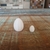 Ovo Miniatura 3D - comprar online