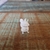 Esquilo Miniatura 3D - loja online
