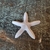 Estrela do Mar Miniatura 3D - comprar online