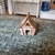 Casa Toras Crua Miniatura 3D - comprar online