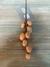 Galho de ovinhos - Armazém da Madeira