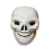 Calavera de Halloween
