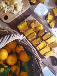 Visita Escolar - loja online