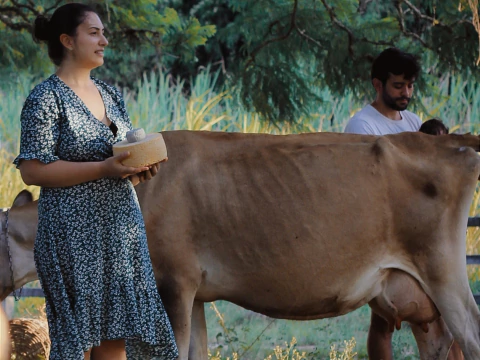 Imagem do banner rotativo Tempo Naturalmente Queijo