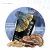 Kit 3 un. Turkey Tail | Extrato Puro e Concentrado 90 Cápsulas - Microdose Life