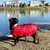 ABRIGO BAXER - ROJO MPC - comprar online