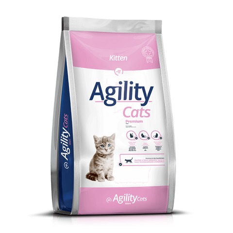 AGILITY - CATS KITTEN