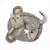 MILLEX - GIGWI CAMITA KOALA SNOOZY FRIENDS - (6157)
