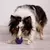 TONIPETS - Pelota Glotoni Soft c-soga - comprar online