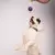 TONIPETS - Glotoni Pelota con soga en internet