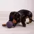 TONIPETS - Glotoni Pelota Rellenable Soft - comprar online
