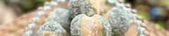 Banner da categoria Doce Cristalizado