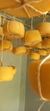 Queijo Minas Artesanal Fumacinha - Sassá de Minas