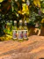 Mini Cachaça Tiara - comprar online