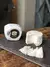 Queijo De Cabra Balido De Chèvre
