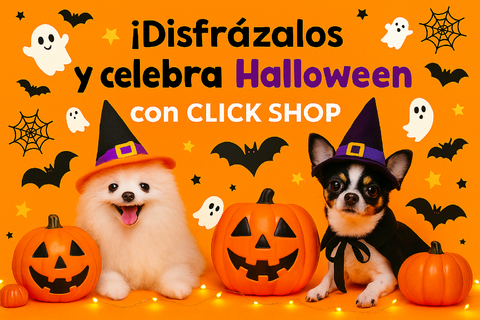 Banner de la categoría Halloween