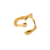 Anillo Isla