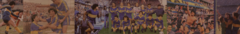 Banner de la categoría Bostera