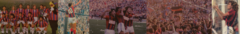 Banner de la categoría Cuerva