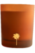 VELA AROMÁTICA - ÁGUA DE COCO - comprar online