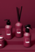 SABONETE LÍQUIDO - RED VANILLA PANTONE 200 ML - comprar online