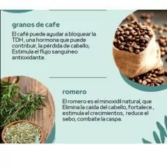 Oleo crecimiento - tienda online