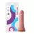 Prótese Maciça Realística Com Ventosa 15,6 X 4Cm Soulsex