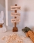 Plaquinha Bunny Trail - comprar online