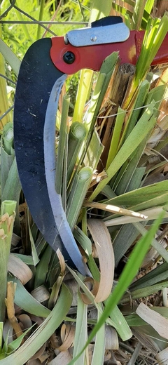 Guadaña de jardinería - TiendaDuplo