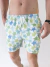 Shorts Elastic Beach Honu na internet
