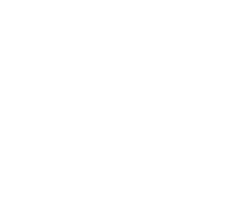 SilverFox Leds