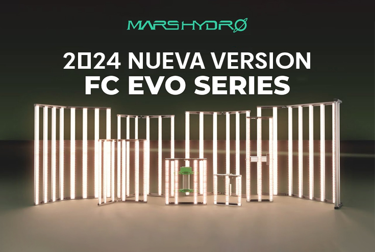 Banner de SilverFox Leds