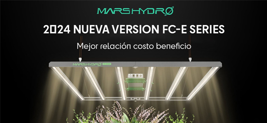 Banner de SilverFox Leds