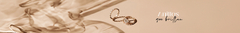 Banner de la categoría ANILLOS