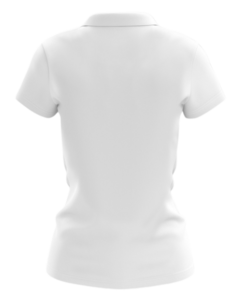 CHOMBA PIQUE HOMBRE GOETHE - comprar online