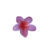 Presilha Flor Pisterest - comprar online