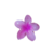 Presilha Flor Pisterest - loja online