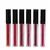 Gloss Labial Efeito 3D Max Love na internet