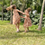 Vestido em Viscolycra - comprar online