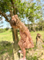 Imagem do Vestido em Viscolycra