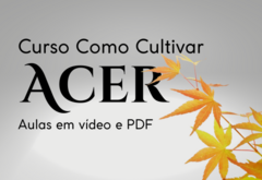 Curso Completo Como Cultivar Acer (Link abaixo na descrição) - comprar online