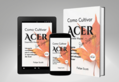 Ebook Como Cultivar Acer (Link abaixo na descrição) - comprar online