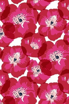Banner de la categoría Vintage 2x1