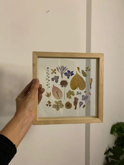 Cuadro enmarcado artesanal doble vidrio Flores secas - comprar online