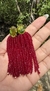Brinco Pitaya
